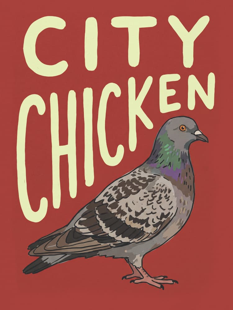 City Chicken Pigeon by Andreas Magnusson — canvas wall art