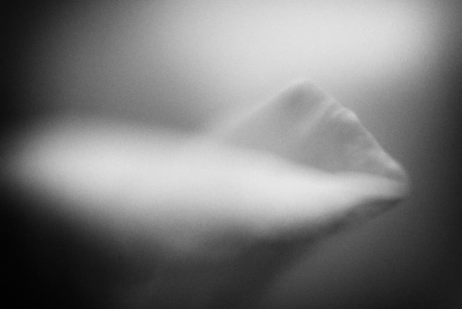 Ethereal White Shape by Codrin Lupei — canvas wall art