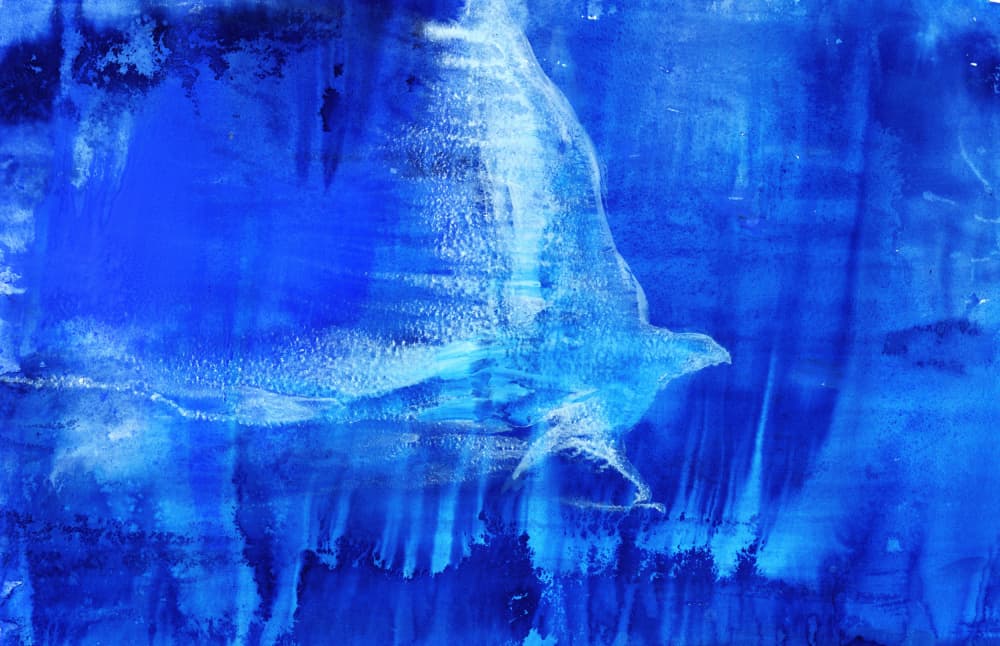 Ethereal Blue Bird by RodMacIver — canvas wall art