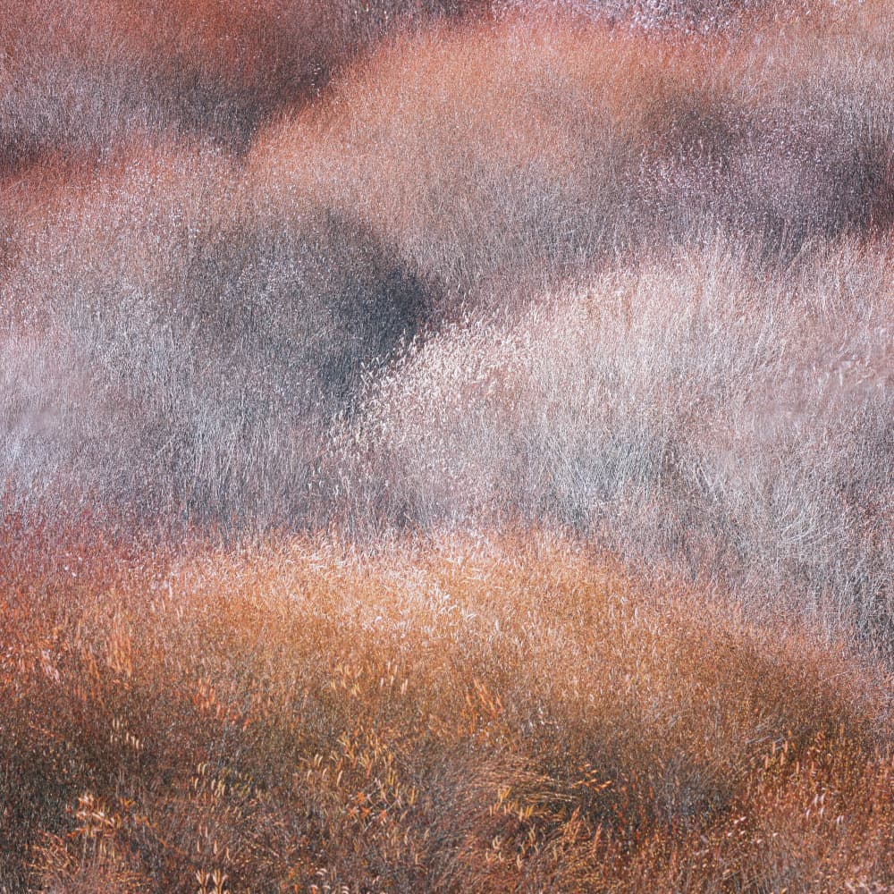 Earthy Textured Landscape by Dawn X W — canvas wall art