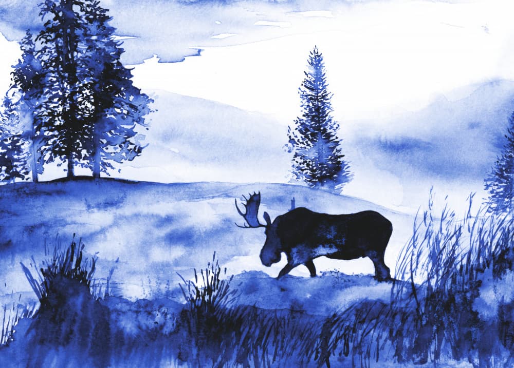 A Winter Moose Landscape by RodMacIver — canvas wall art