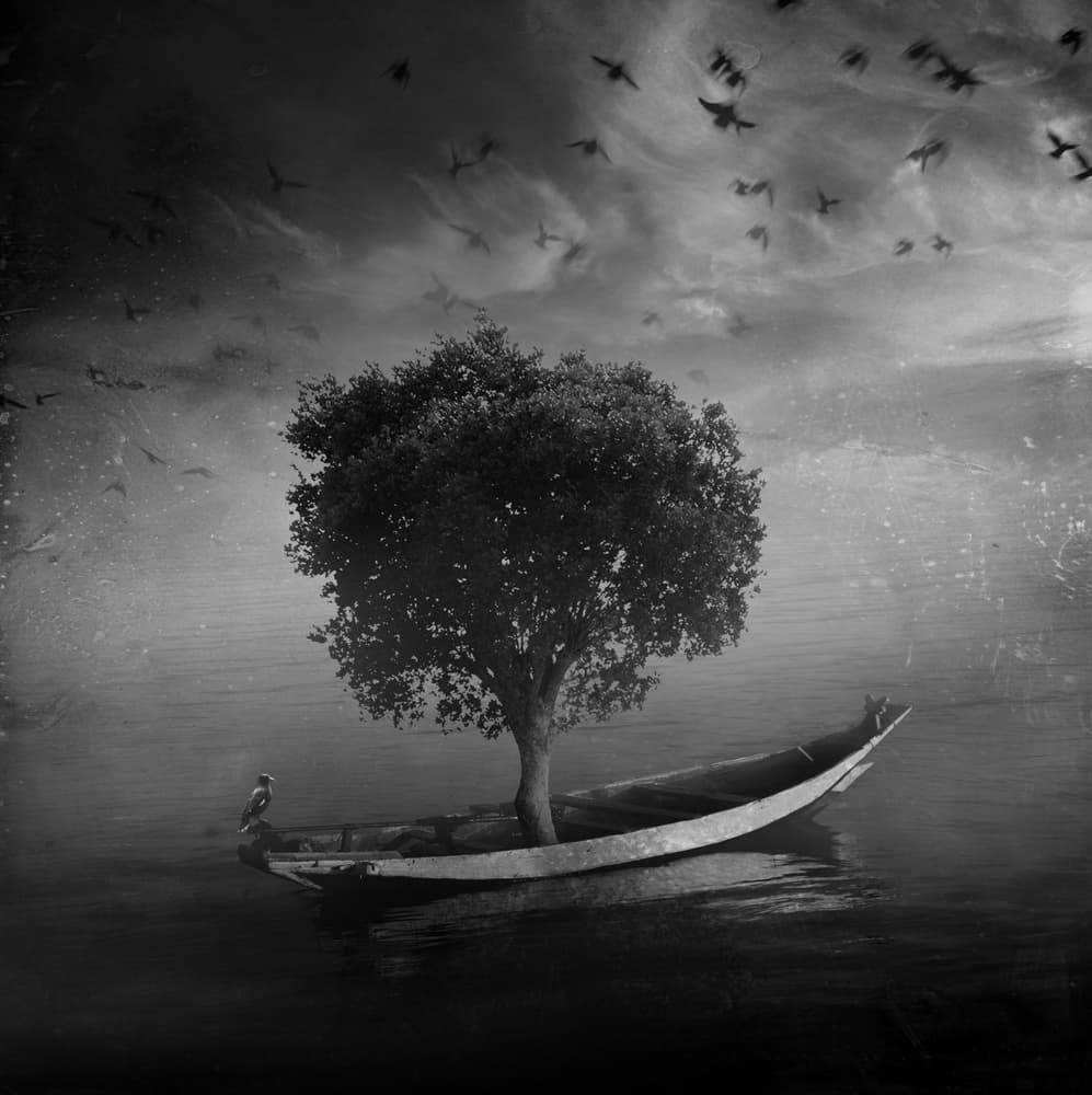 Dreamy Tree Boat by Hari Sulistiawan — canvas wall art