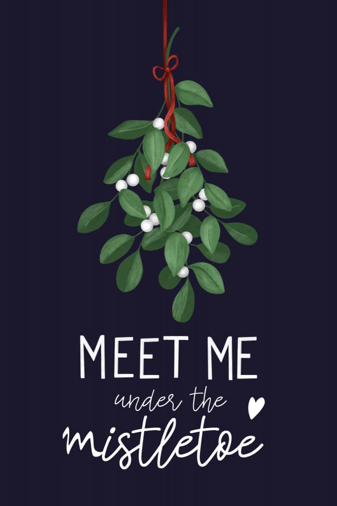 Hanging Mistletoe Kiss by EMELIEmaria — canvas wall art