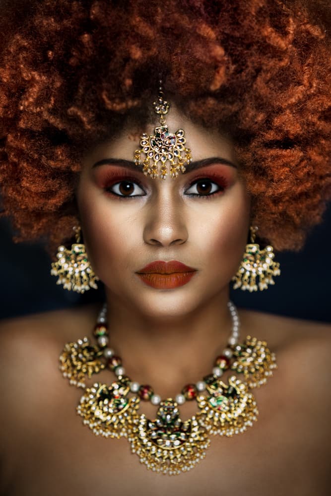 Regal Indian Beauty by Hardik Pandya — canvas wall art