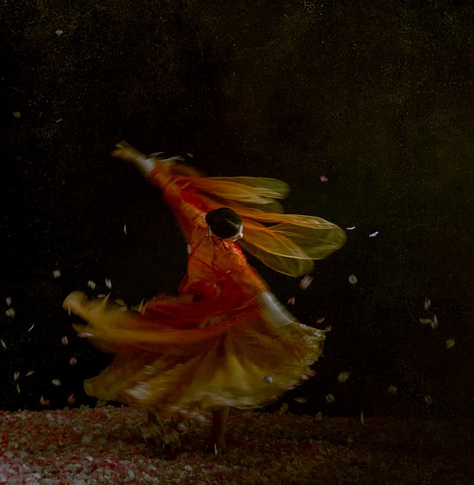 Flowing Dancer Petals by Rae Zhang — canvas wall art