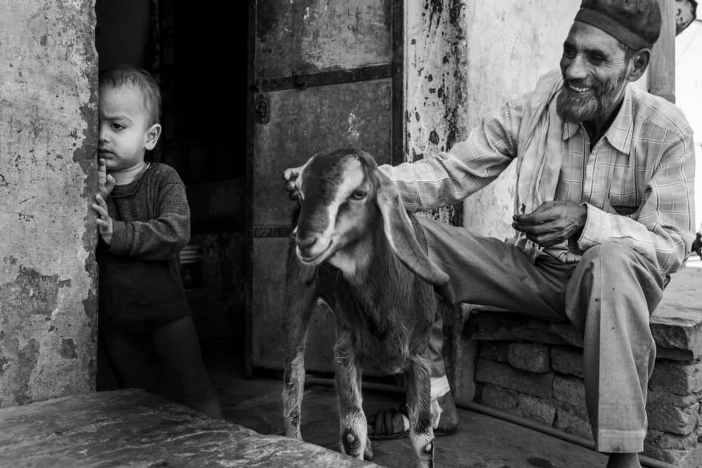 Village Friends and Goat by Orna Naor — canvas wall art
