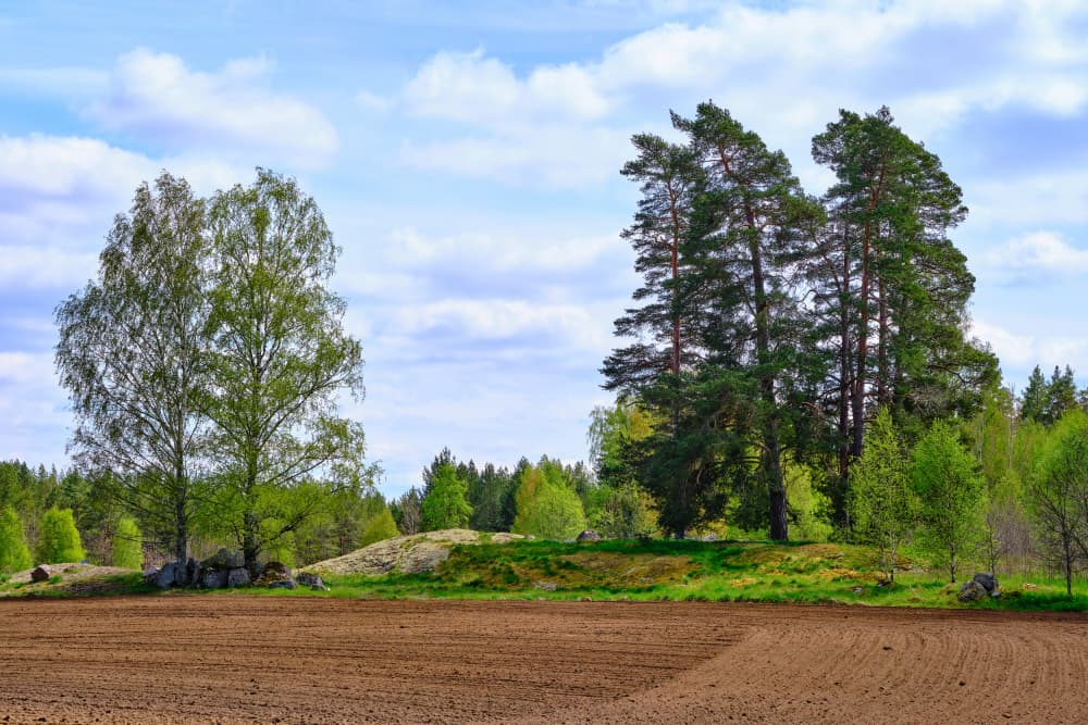 Plowed Field Spring Trees by Geertjan Plooijer — canvas wall art