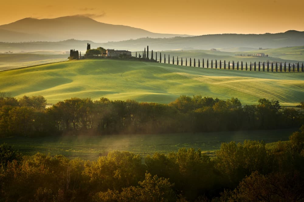 Tuscan Cypress Hilltop by Martin Froyda — canvas wall art