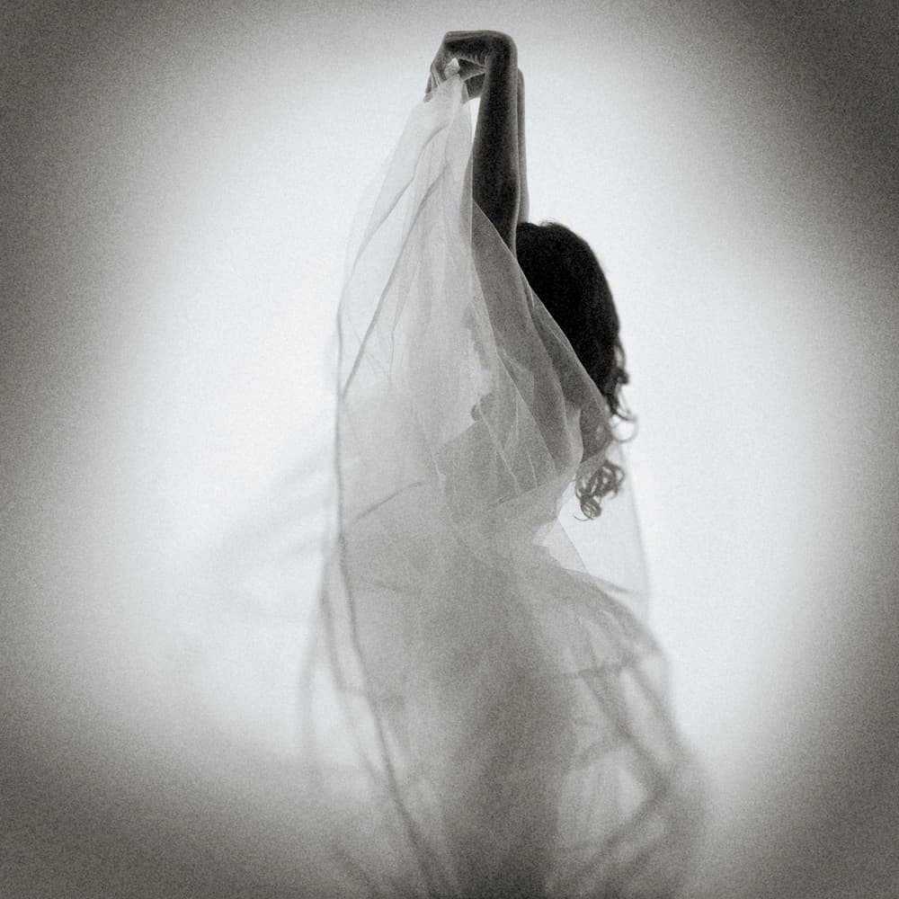 Graceful Fabric Dance by Mel Brackstone — canvas wall art