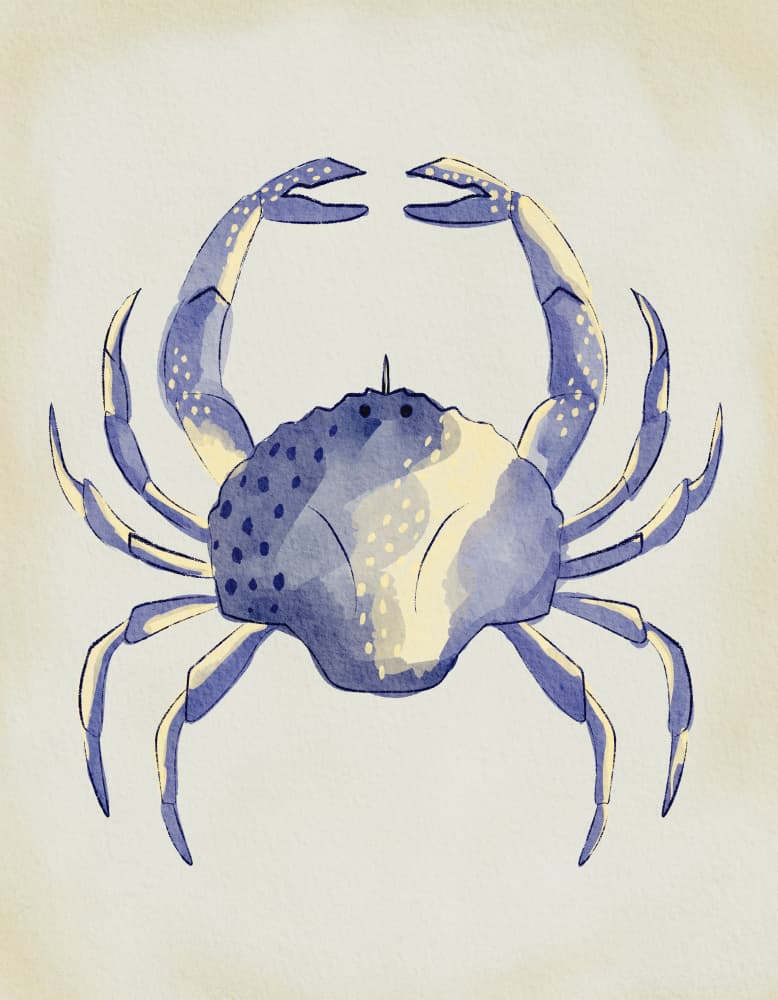 Watercolor Blue Crab by Nikita Jariwala — canvas wall art