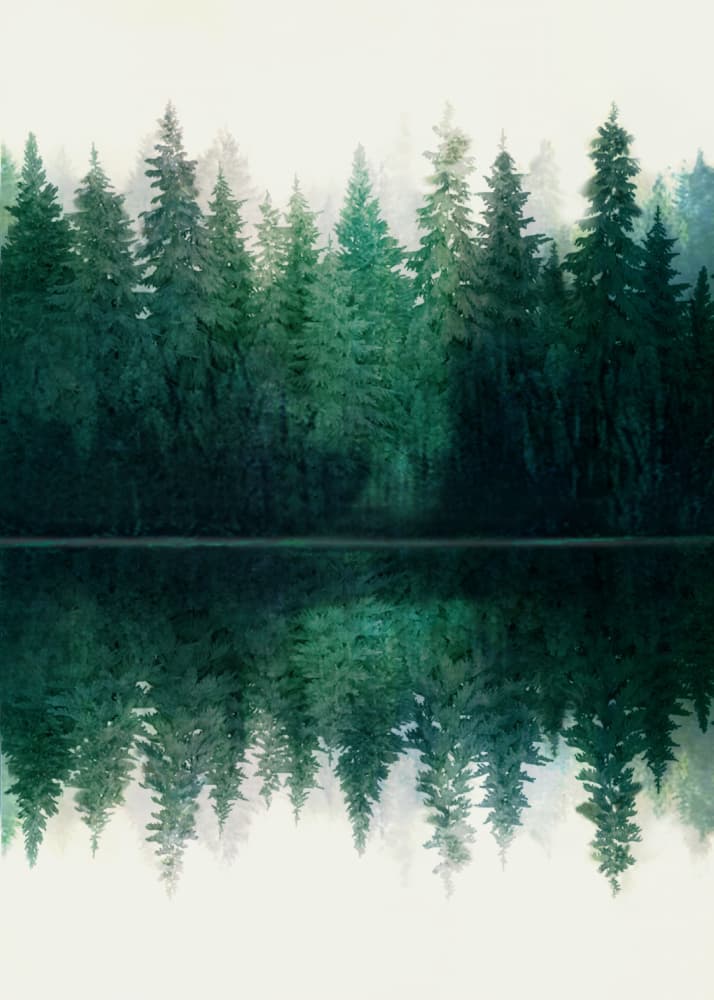 Misty Forest Reflection by Nadjaa — canvas wall art