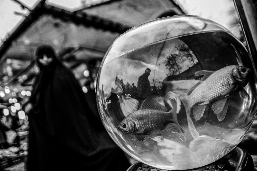 Fishbowl Market Reflection by ali asadollahi sooteh — canvas wall art