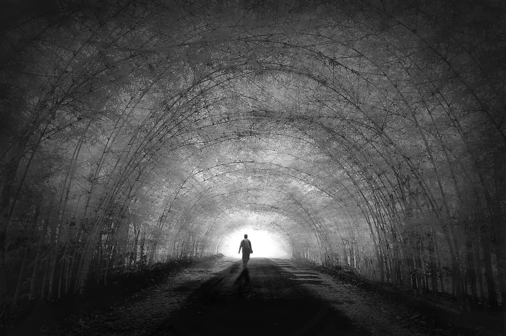Path to Light by Ekkachai Khemkum — canvas wall art