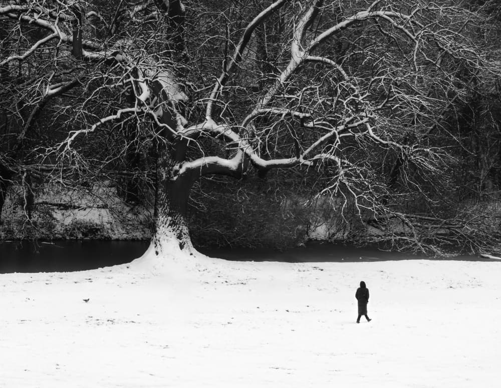 Lone Figure Snowy Tree by Anna Niemiec — canvas wall art