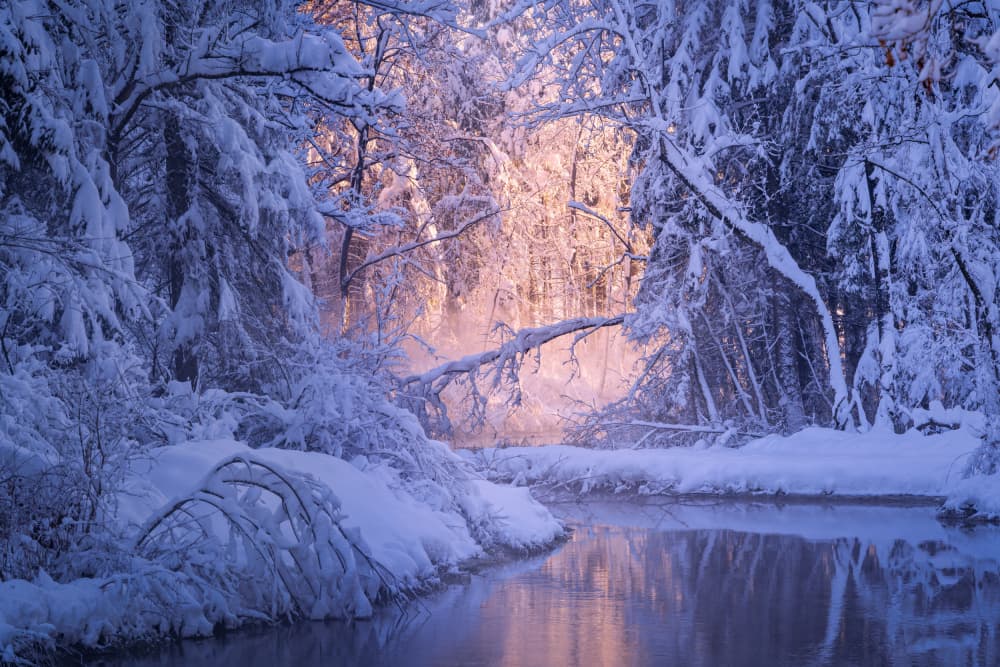 Winter Morning Glow by Norbert Maier — canvas wall art