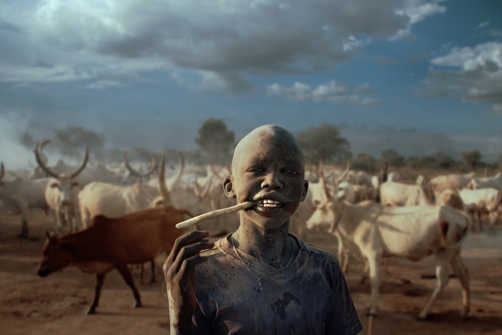 Young Boy and Cattle by Svetlin Yosifov — canvas wall art