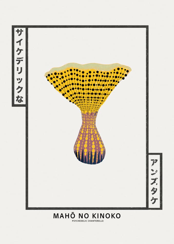 Magic Dotted Mushroom