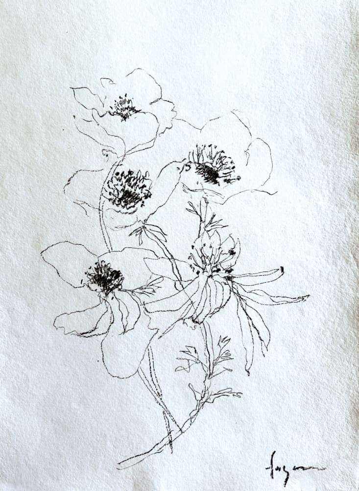Delicate Floral Sketch by Dorothy Fagan — canvas wall art