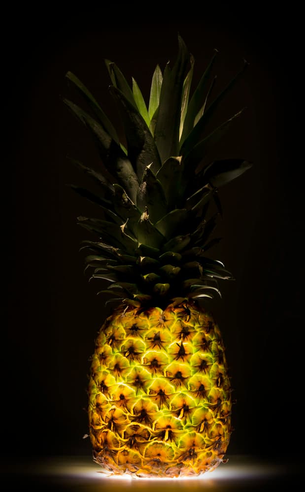 Pineapple by Wieteke de Kogel — canvas wall art
