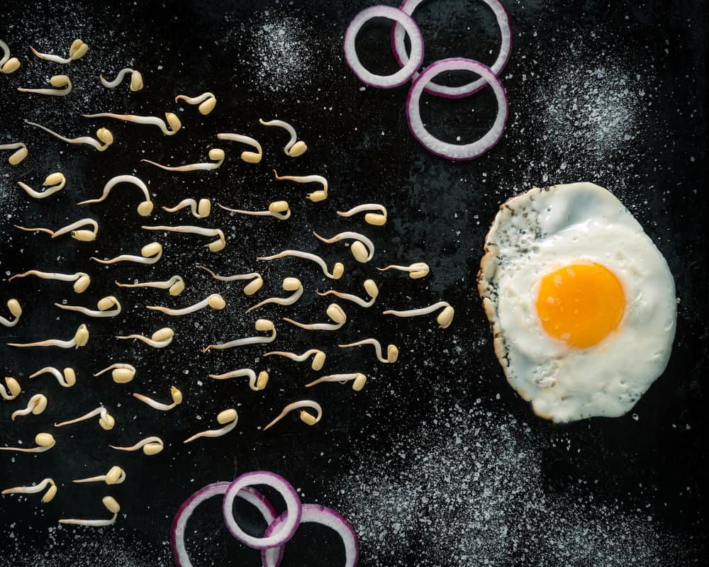 Sprouting Egg Art by Petri Damstén — canvas wall art