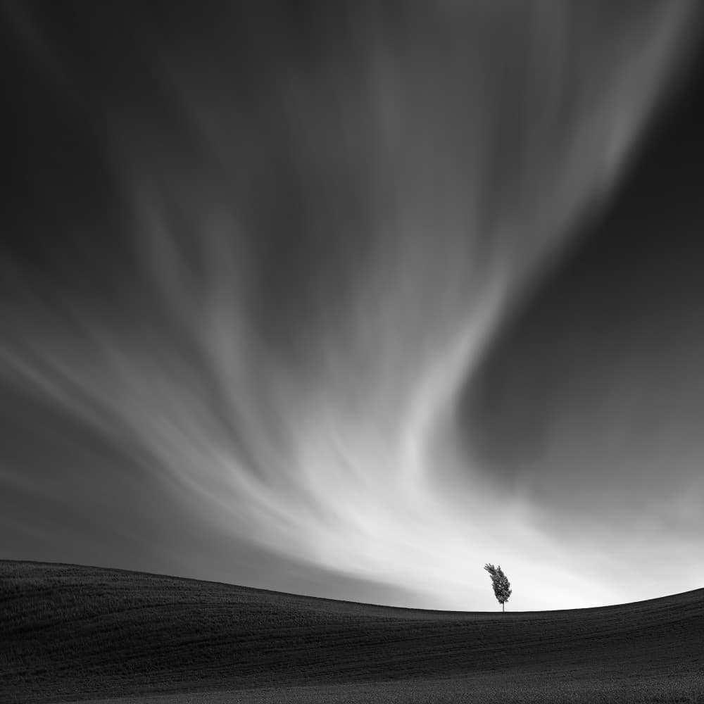 Swirling Sky Lone Tree by Tomas Tison — canvas wall art