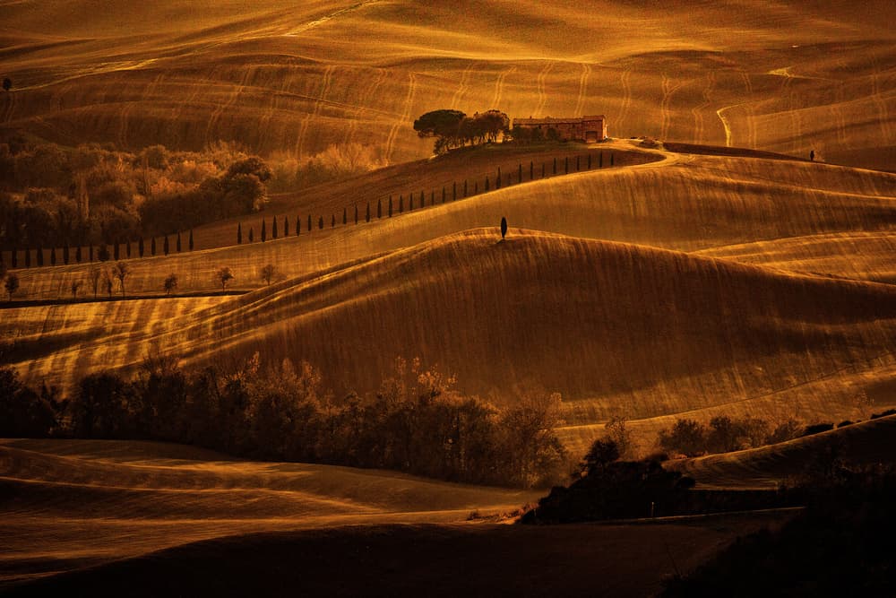 Golden Tuscan Hills by Massimo Della Latta — canvas wall art