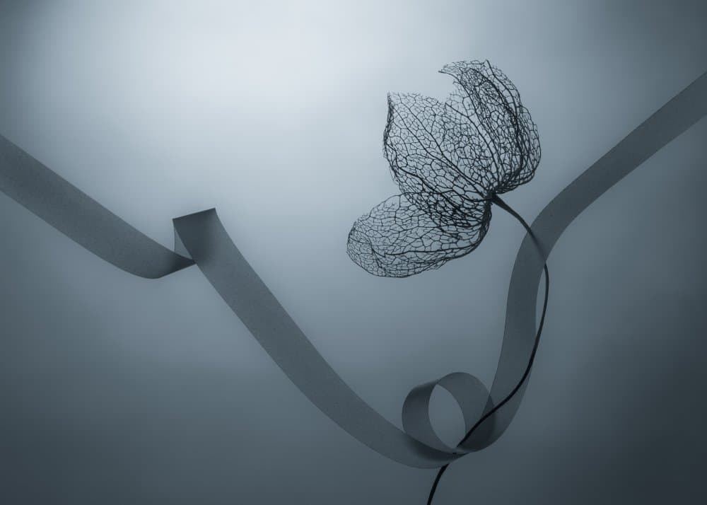Ethereal Botanical Skeleton by Shihya Kowatari — canvas wall art