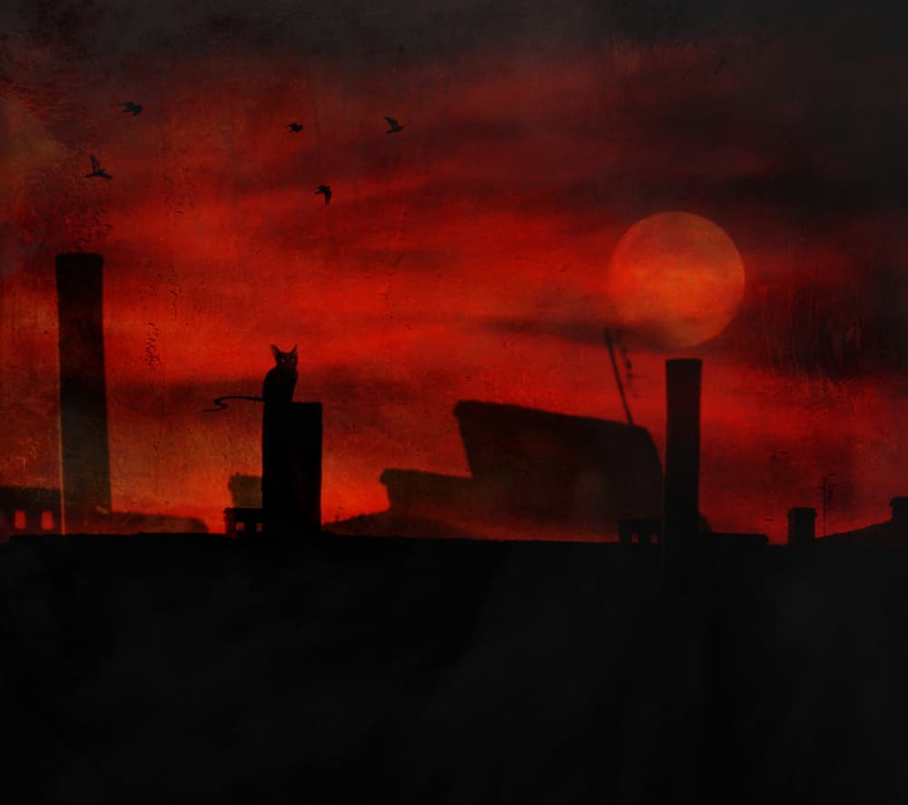 Cat Under Crimson Moon by Robert Fabrowski — canvas wall art