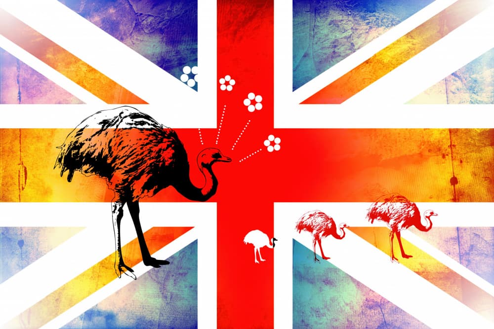 Union Jack Emu Play by Rafal Kulik — canvas wall art