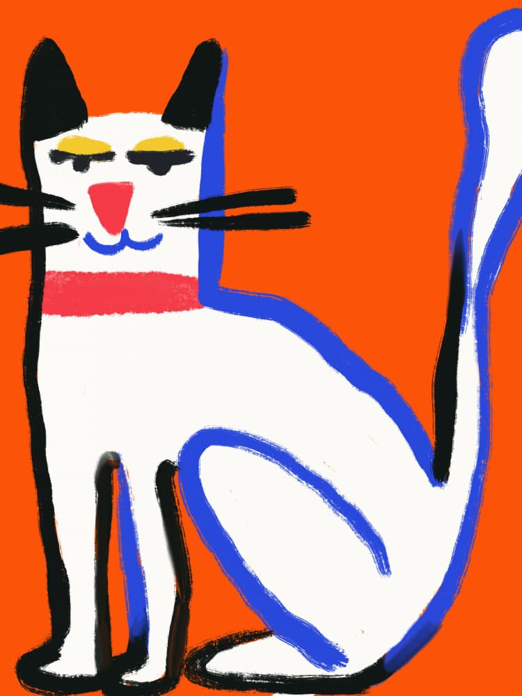 Playful White Cat by Little Dean — canvas wall art
