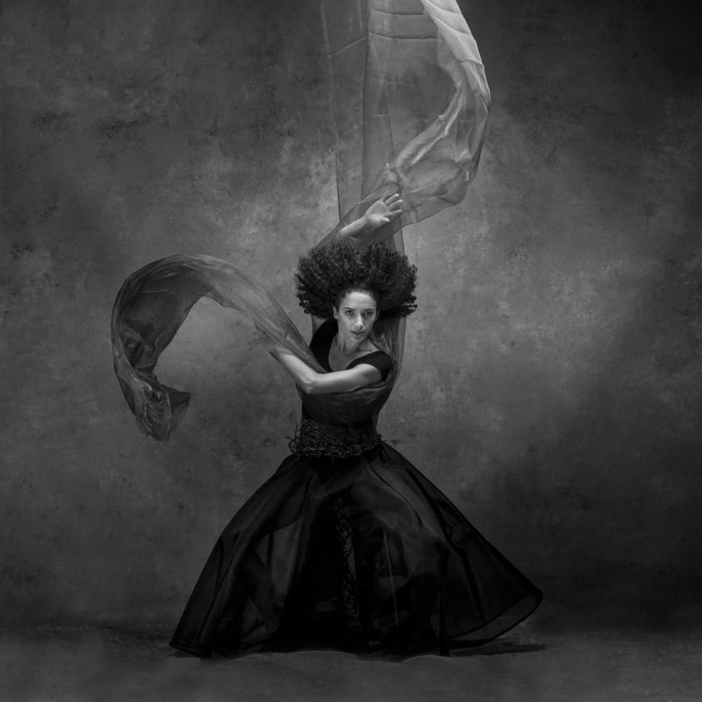 Elegant Fabric Movement by Joan Gil Raga — canvas wall art