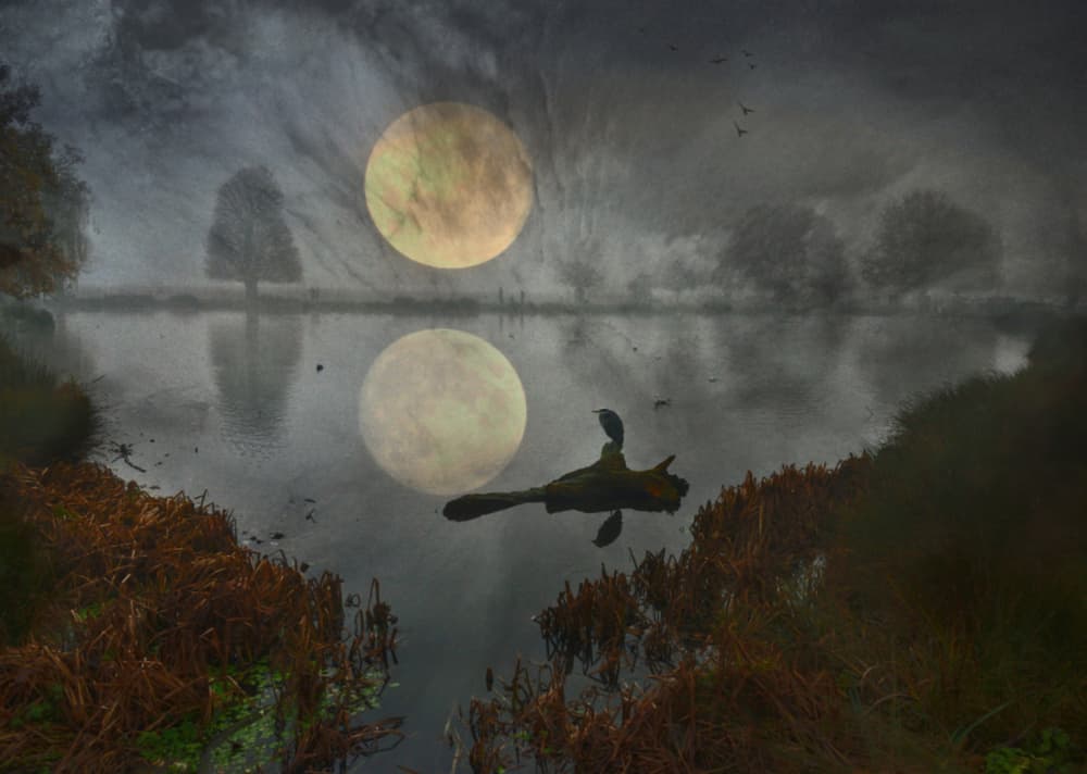 Moon Over Misty Lake by Robert Fabrowski — canvas wall art