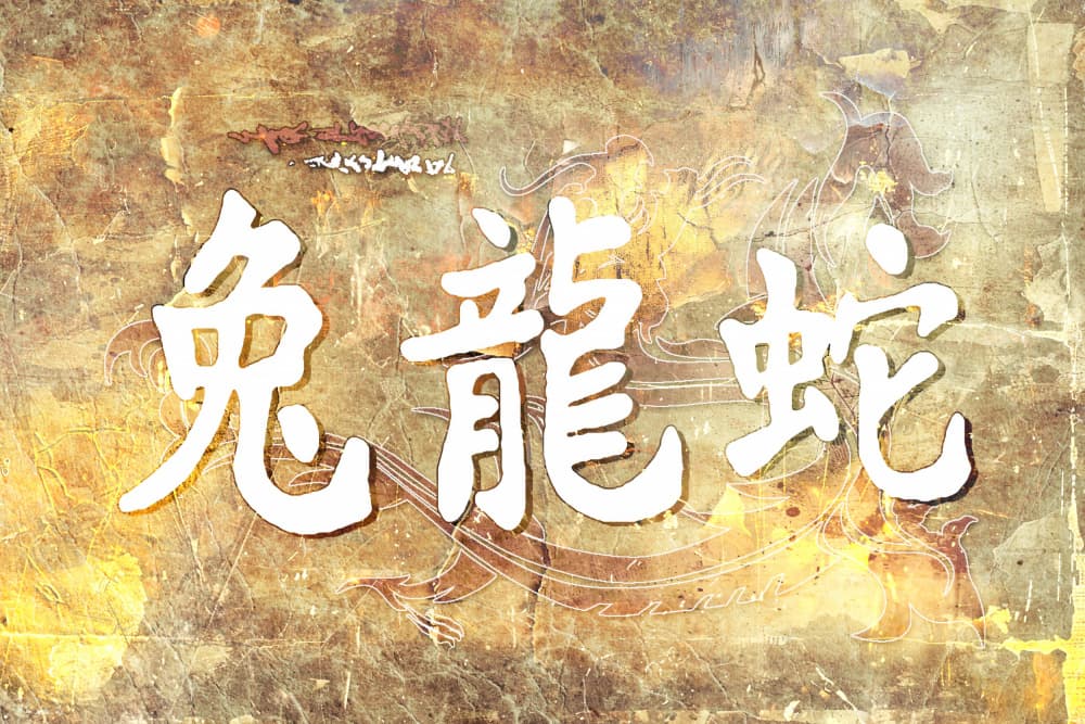 Chinese Zodiac Calligraphy by Rafal Kulik — canvas wall art