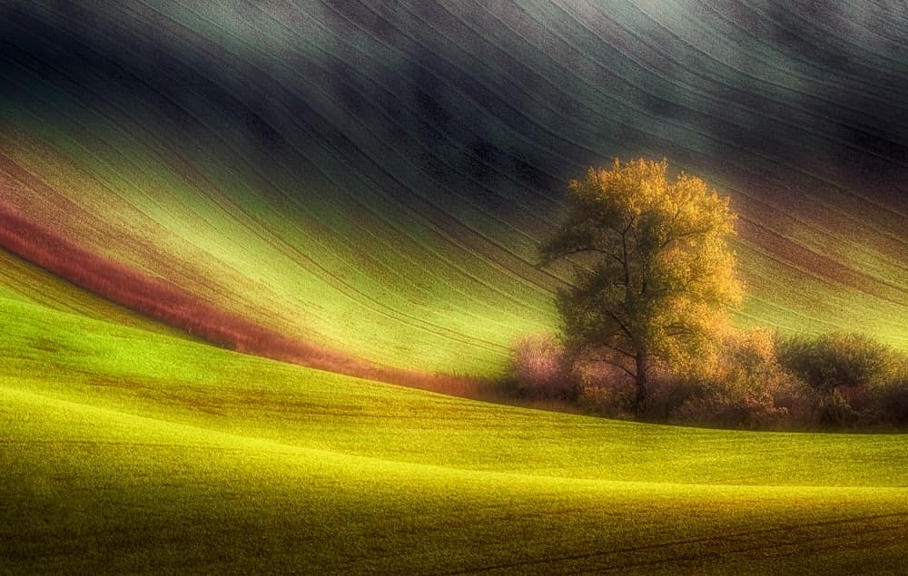 Wavy Green Hills by Piotr Krol (Bax) — canvas wall art