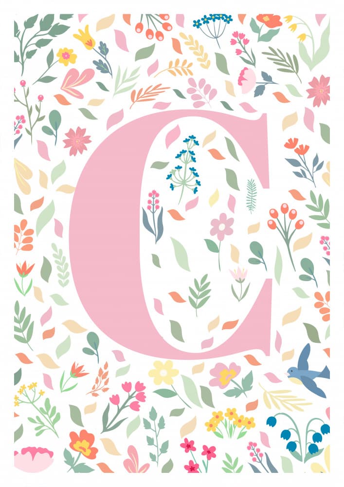 Floral Letter C by Sarah Manovski — canvas wall art