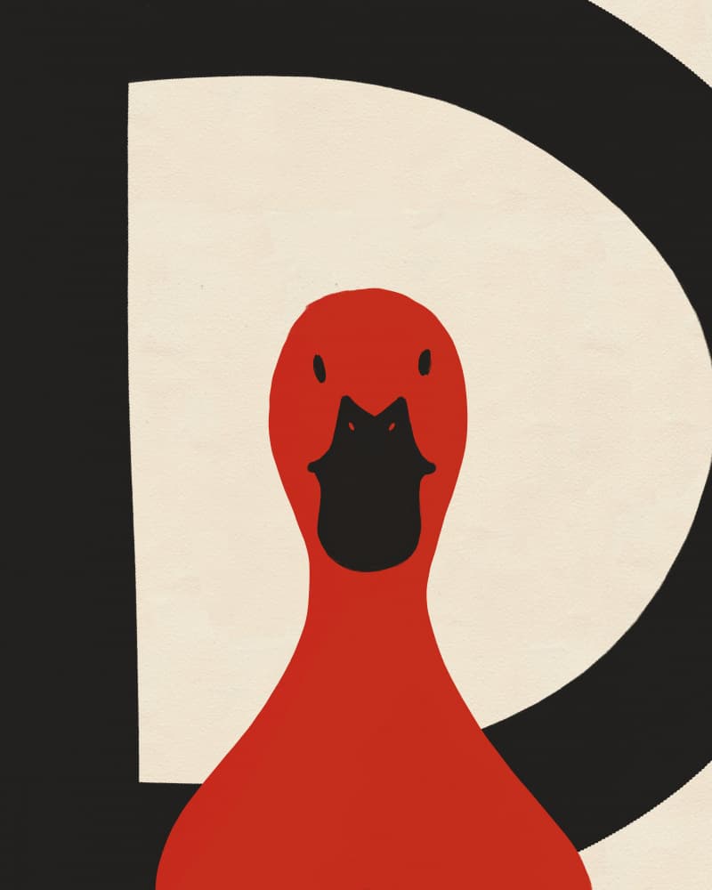 Playful Red Duck by Deepthi s — canvas wall art