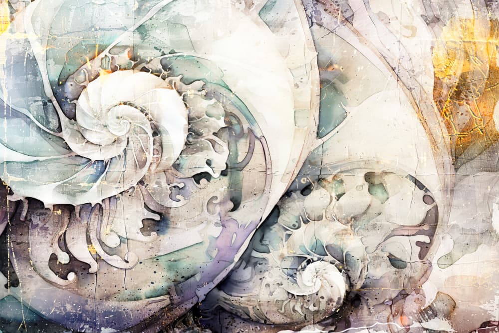Watercolor Nautilus Spirals by Rafal Kulik — canvas wall art