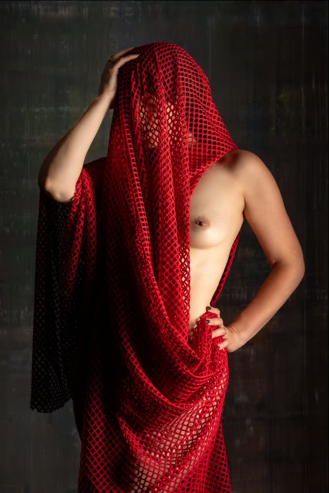Red Mesh Mystery by Colin Dixon — canvas wall art