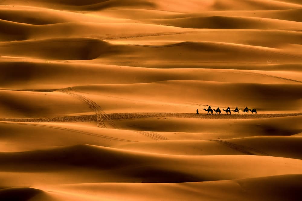 Desert Sands Journey by Andrei Baisan — canvas wall art