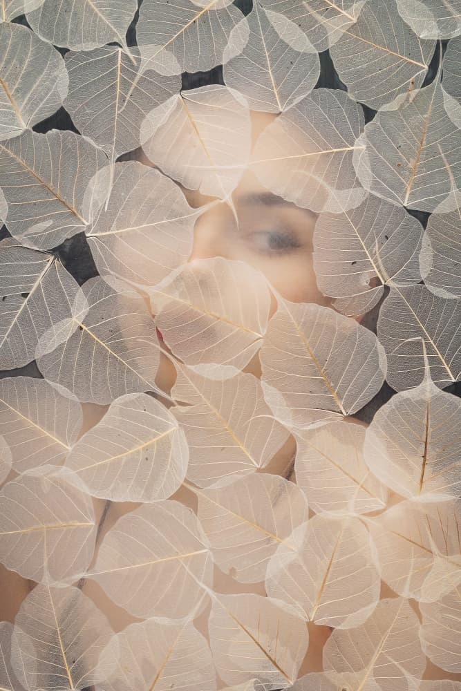 Soft Leaf Veil by Mihai Teslariu — canvas wall art