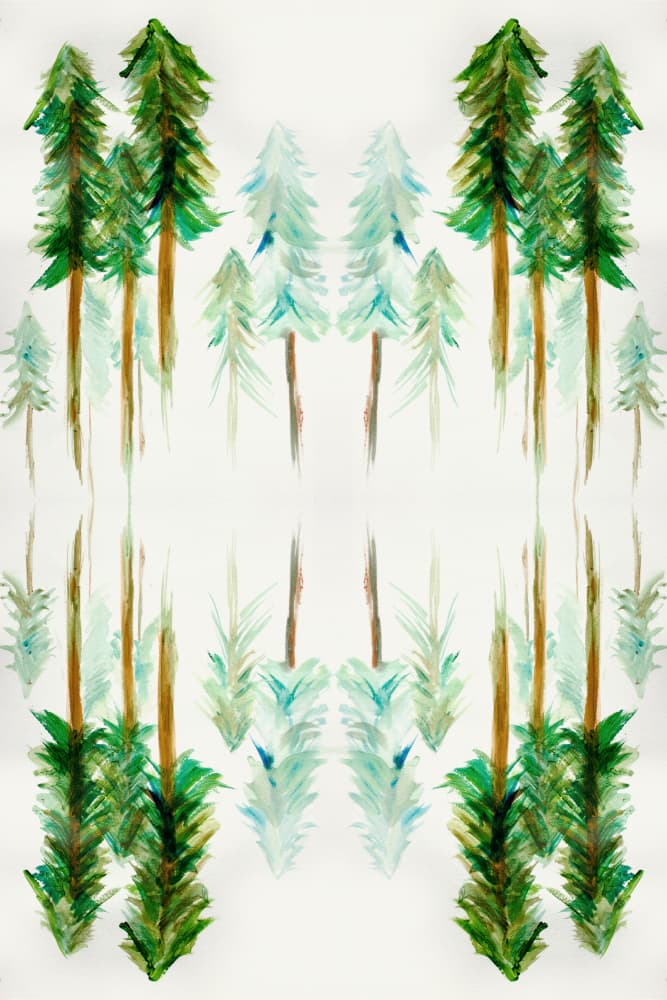 Mirrored Pine Forest by Gemma Bardot — canvas wall art