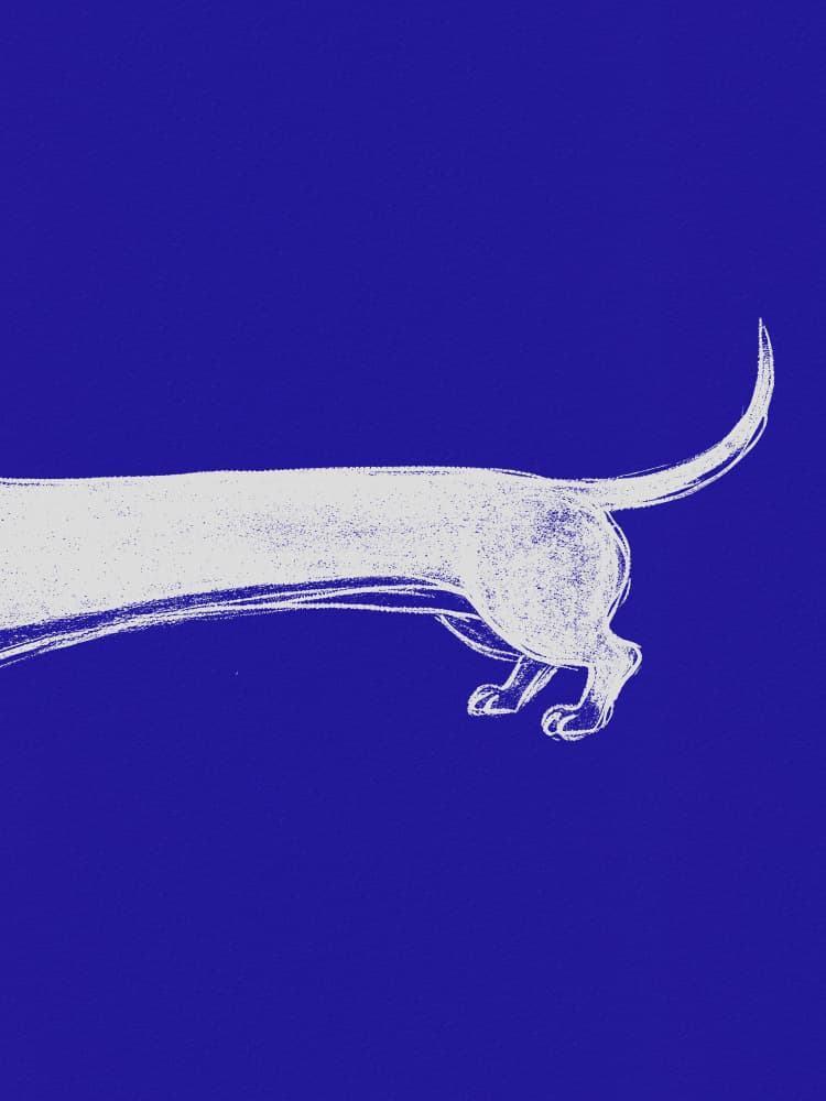 Minimalist Blue Dachshund by Andreas Magnusson — canvas wall art