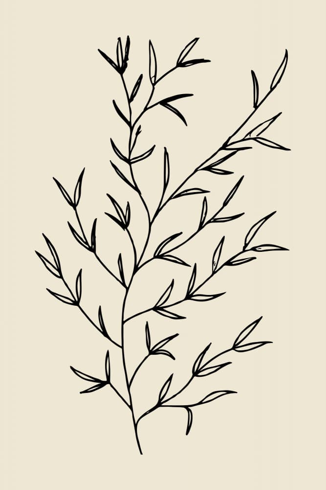Branchno02 by Treechild — canvas wall art