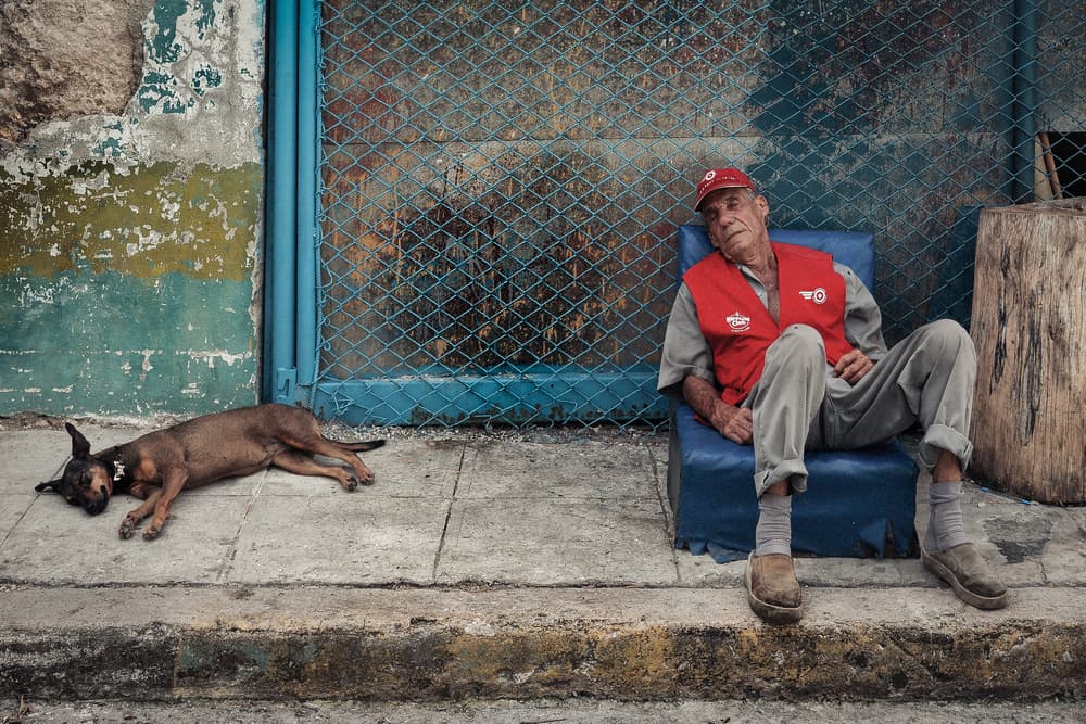 Quiet Street Companions by Andy Bauer — canvas wall art