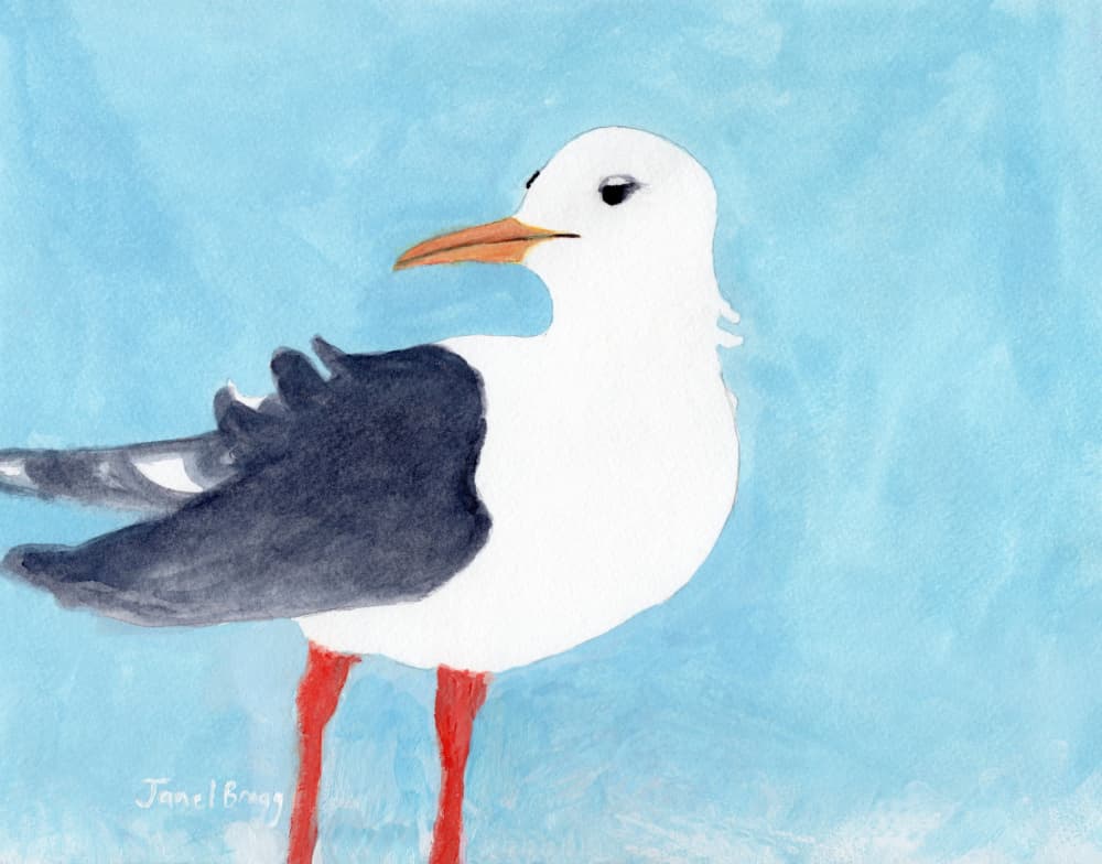 Calm Seagull Portrait by Janel Bragg — canvas wall art