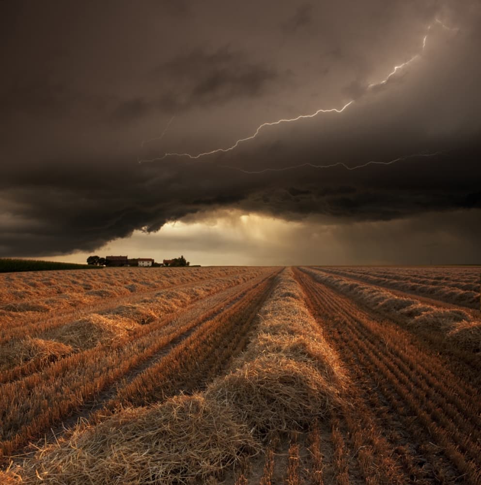 Lightning Strikes Golden Field by Nicolas Schumacher — canvas wall art