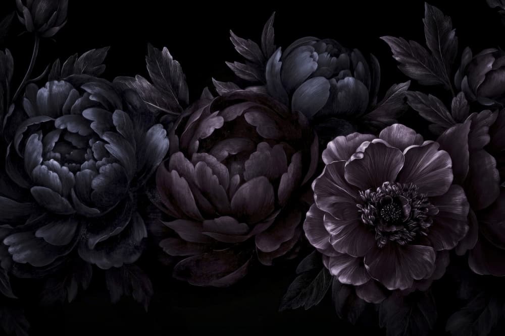 Opulent Dark Blooms by Andrea Haase — canvas wall art