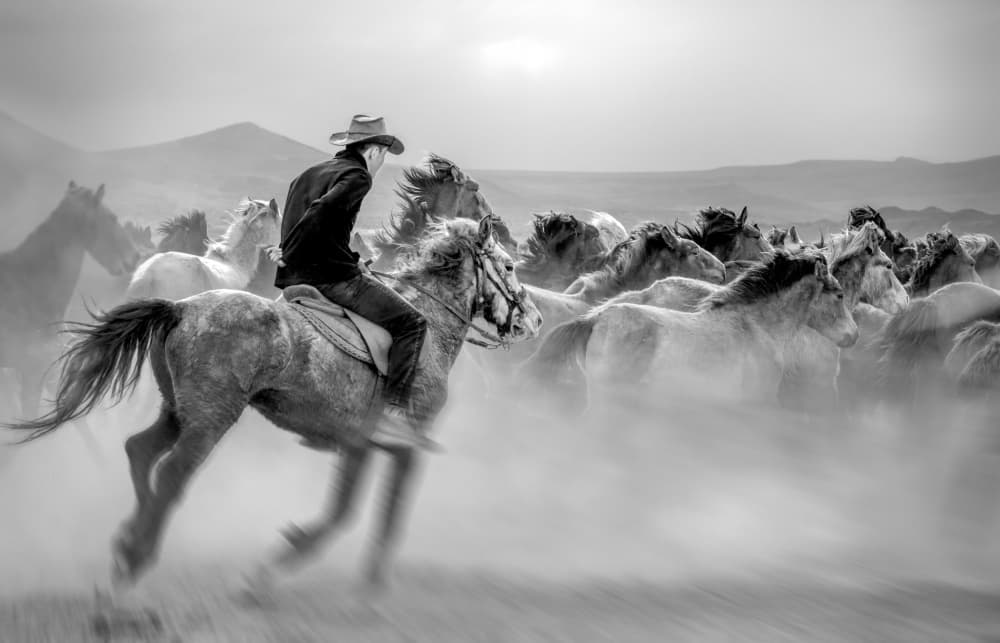Cowboy and Wild Horses by Mustafa öztürk — canvas wall art