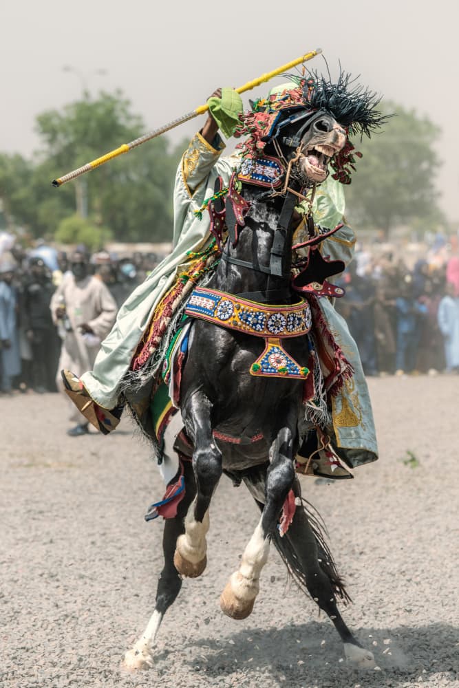 Rearing Festival Horse by Trevor Cole — canvas wall art