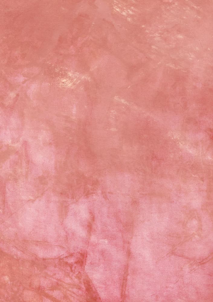 Soft Pink Texture by Mareike Böhmer — canvas wall art